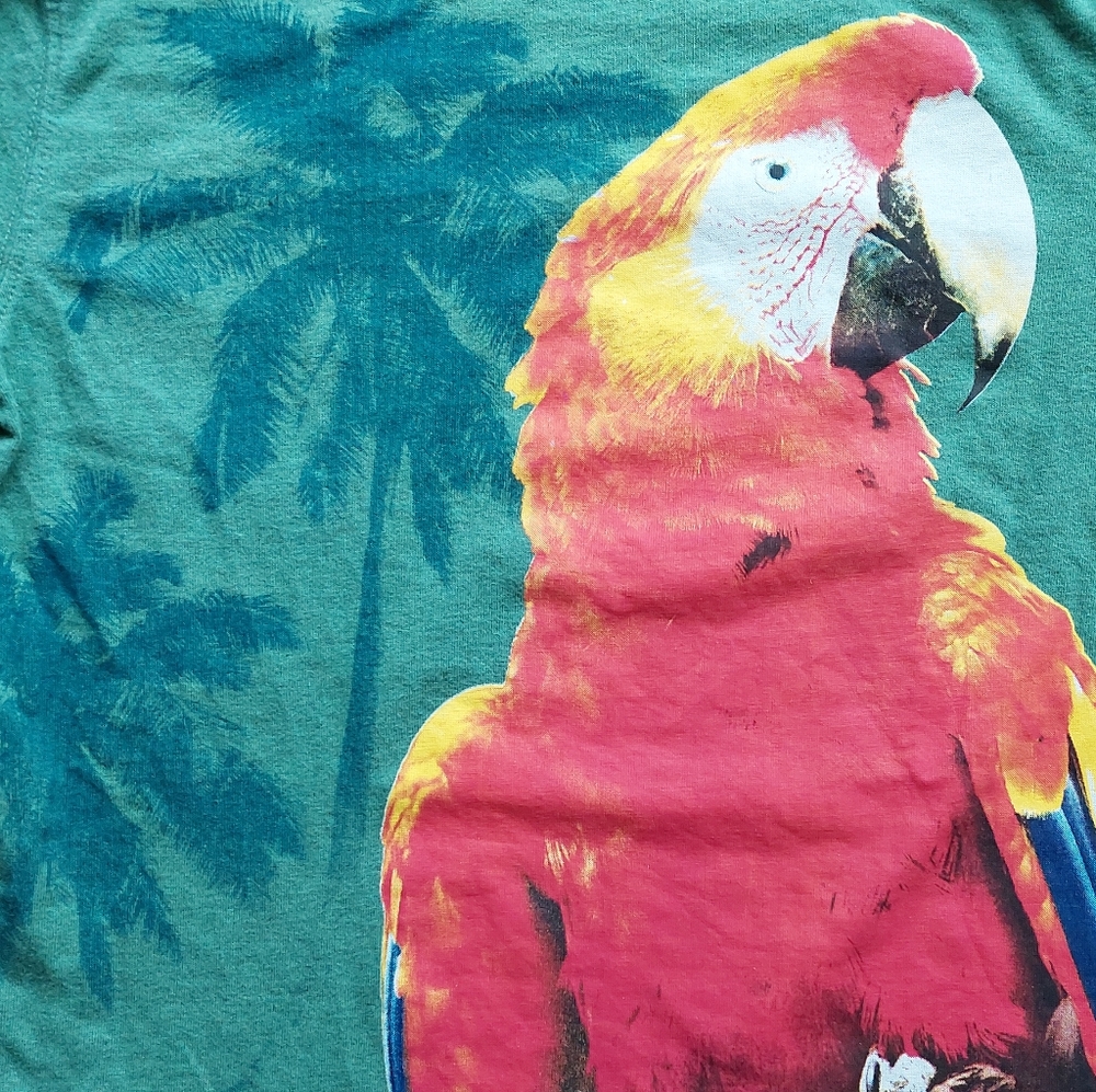 2016 ln / euc Next Direct 5-6 years